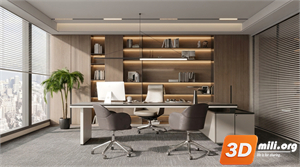 General Manager's Office Skp Files 